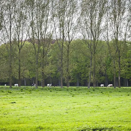 De Libellen Van Waaroost 4*