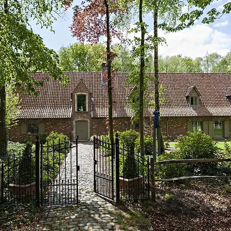 De Libellen Van Waaroost 4*
