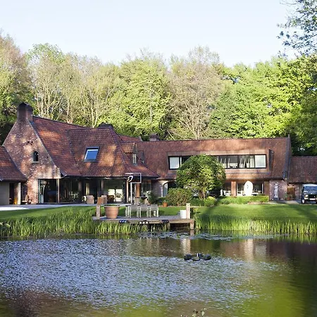 De Libellen Van Waaroost 4*