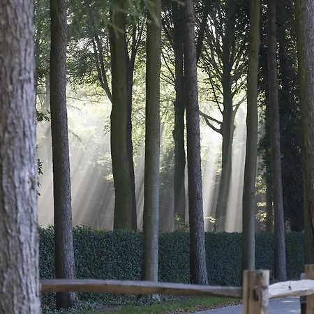 De Libellen Van Waaroost Panzió 4*